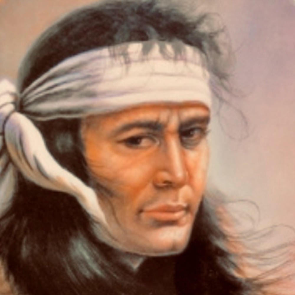 Meet your Posher, Louis